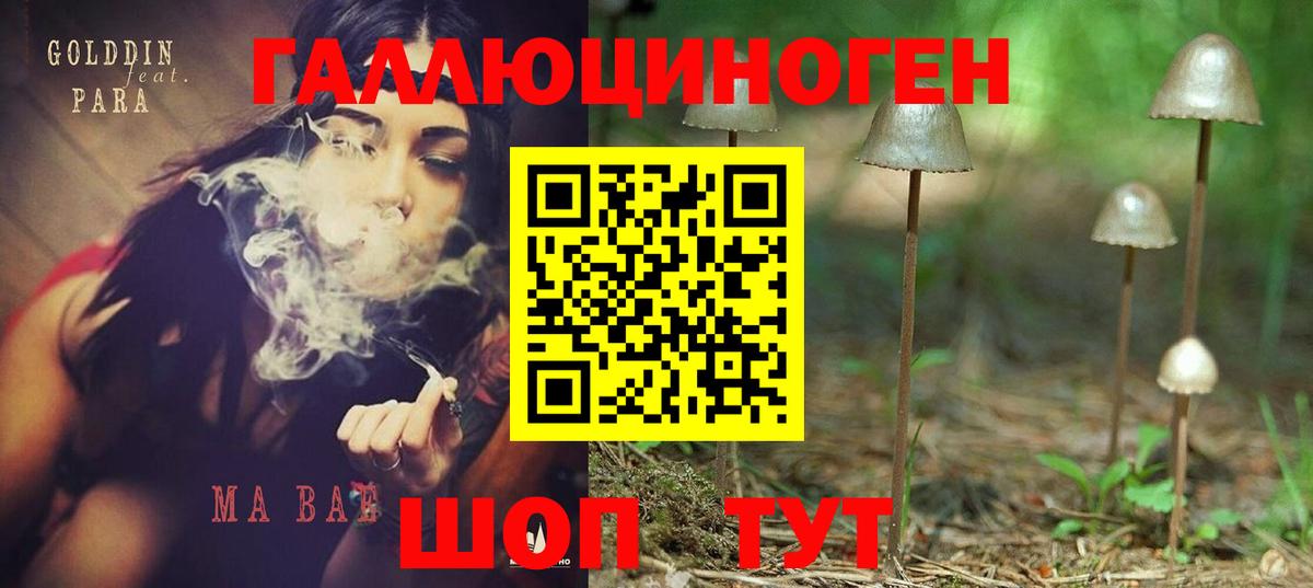 Галлюциногенные грибы Cubensis Бахчисарай
