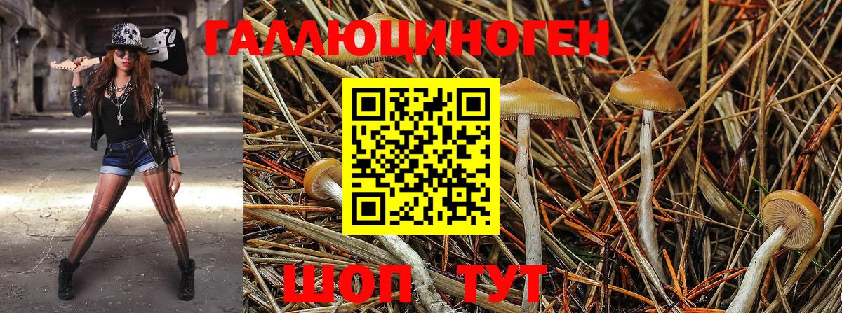 Галлюциногенные грибы GOLDEN TEACHER  где купить наркотик  Бахчисарай  Вход с VPN 